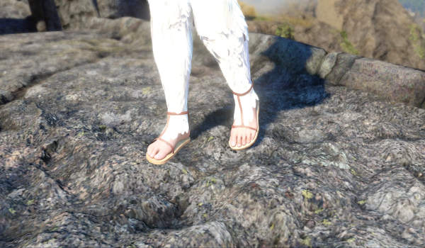 《上古卷轴5：天际重制版》蓬松天使之羽MOD