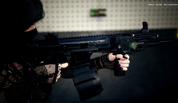 《致命解药》MOW20步枪MOD