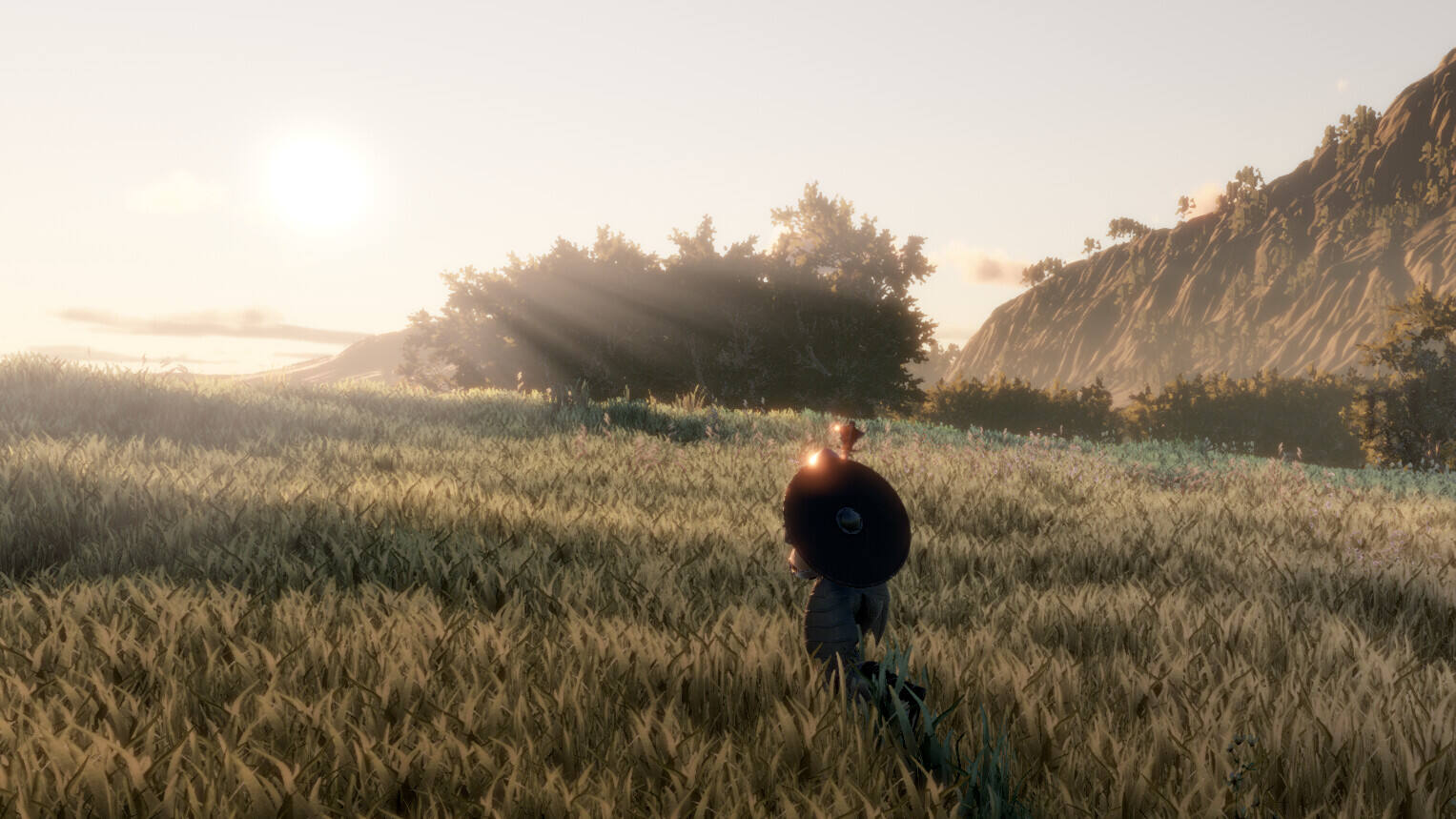 埃伦加德：升天壁纸