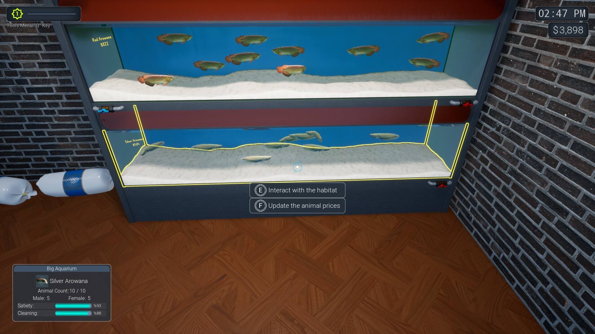 异域风情2：宠物店模拟器壁纸