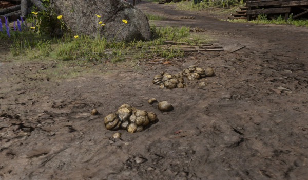 《荒野大镖客2》街道清理草莓镇MOD