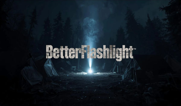 《检疫区：最后一站》优化手电筒MOD