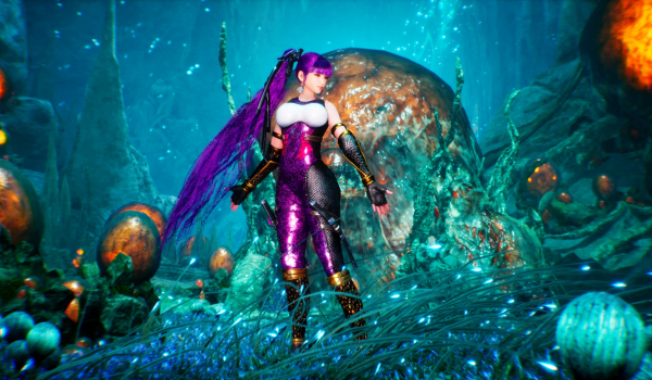 《剑星》忍龙2黑衣绫音深山樱MOD