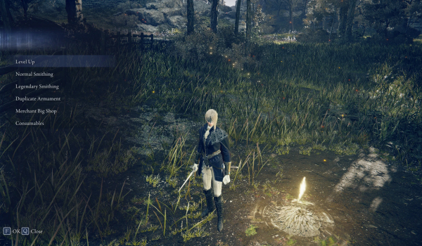 《艾尔登法环 黑夜君临》全能赐福MOD