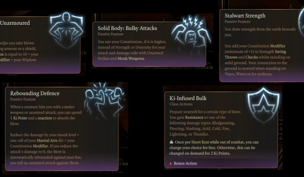 《博德之门3》巨石之道坚韧武僧子职业MOD