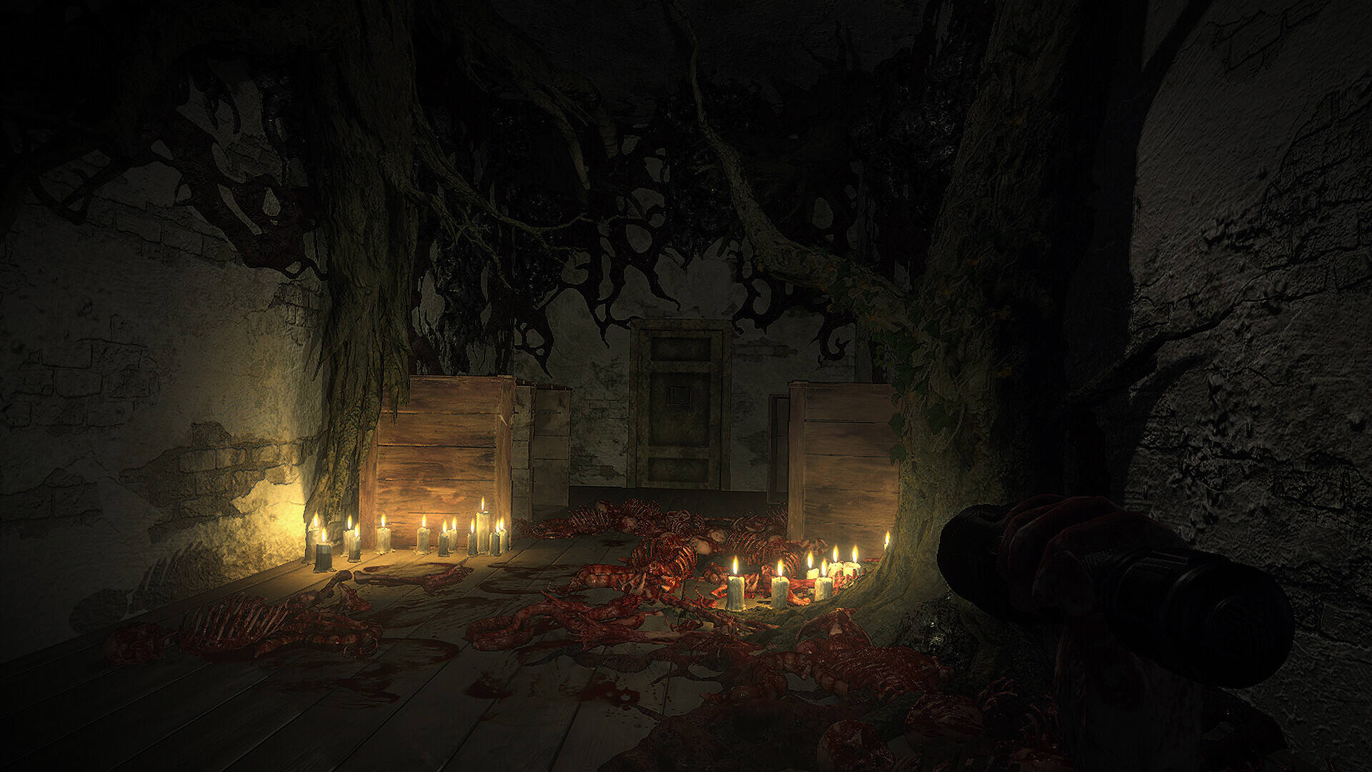 偏执狂场所壁纸