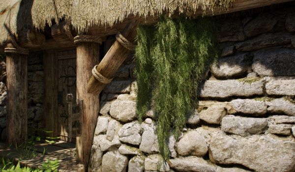 《上古卷轴5：天际重制版》垂悬苔藓MOD