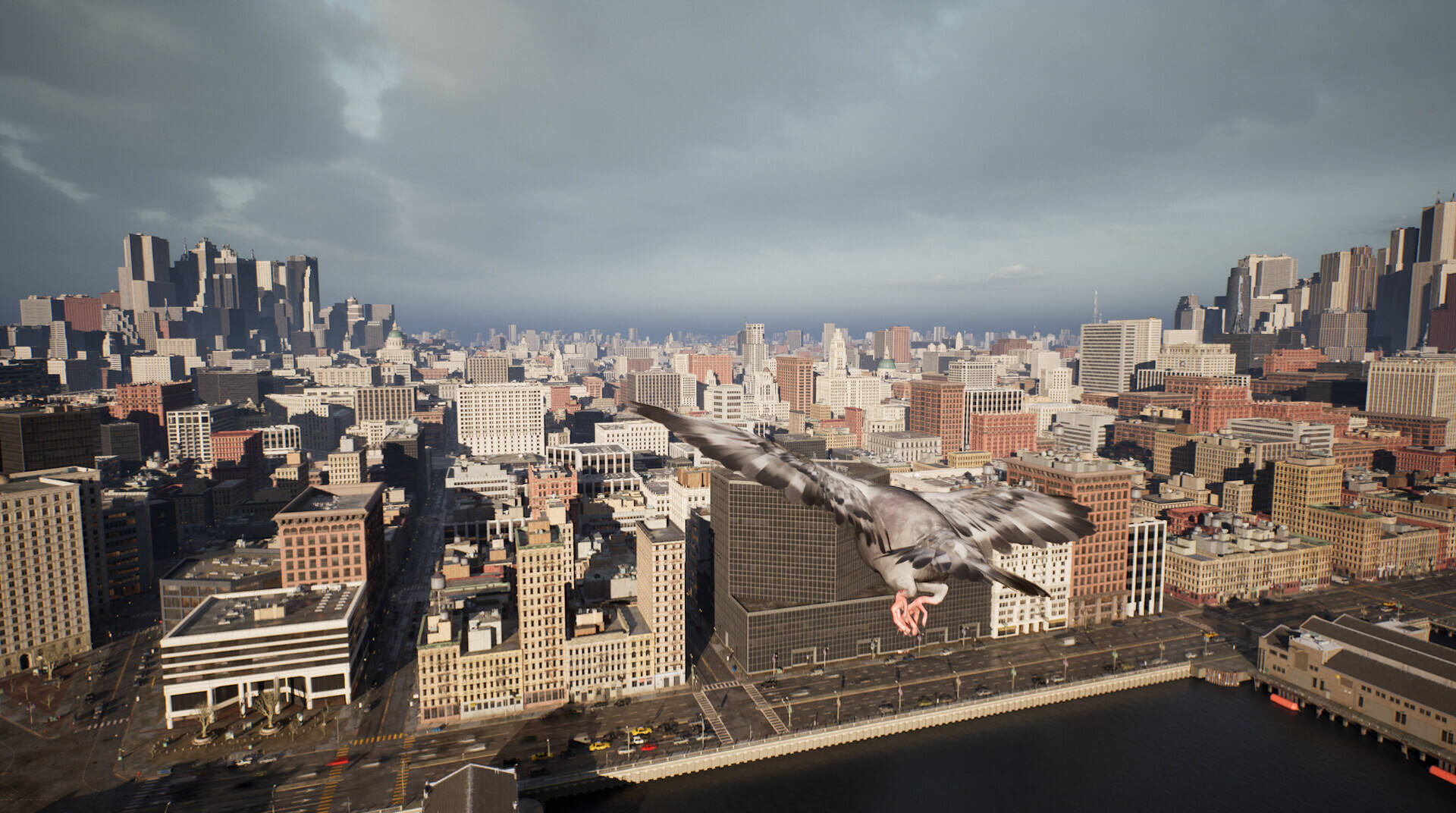 鸽子飞行模拟器截图