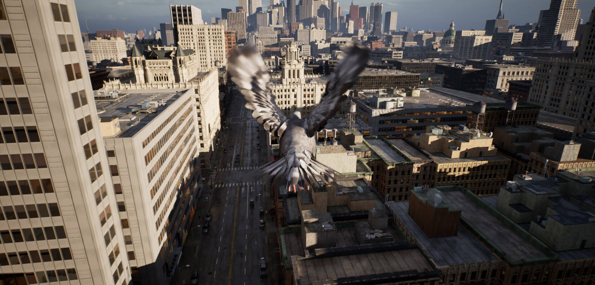 鸽子飞行模拟器截图