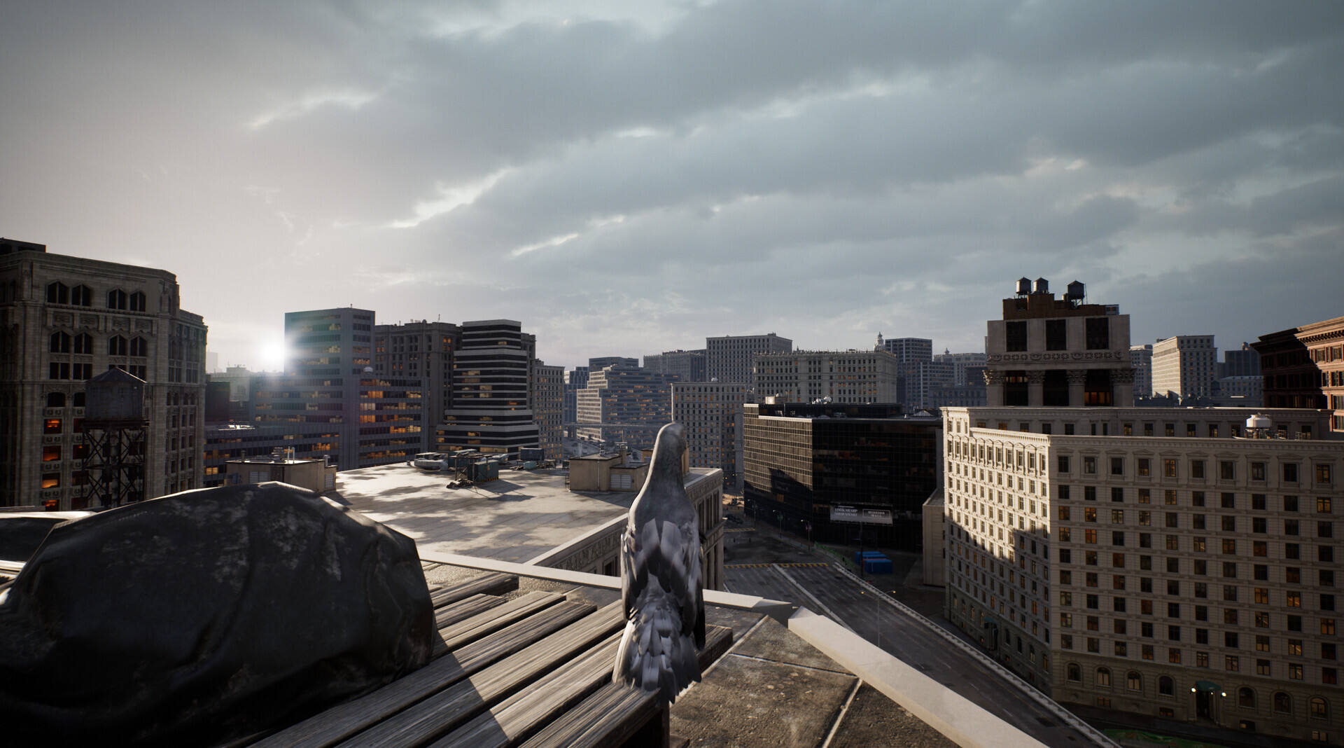 鸽子飞行模拟器截图