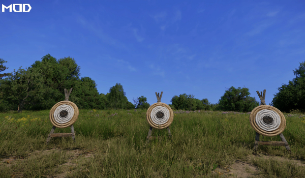 《天国：拯救2》惊艳视觉清晰配置提升帧率MOD