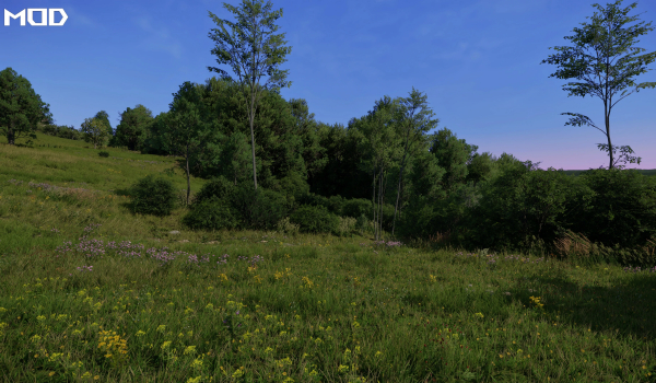 《天国：拯救2》惊艳视觉清晰配置提升帧率MOD