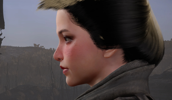 《仁王3》女性角色预设MOD