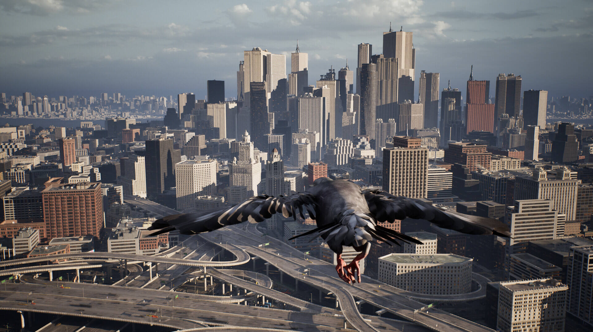 鸽子飞行模拟器截图