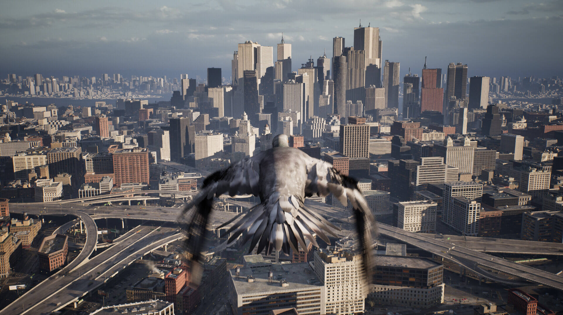 鸽子飞行模拟器截图