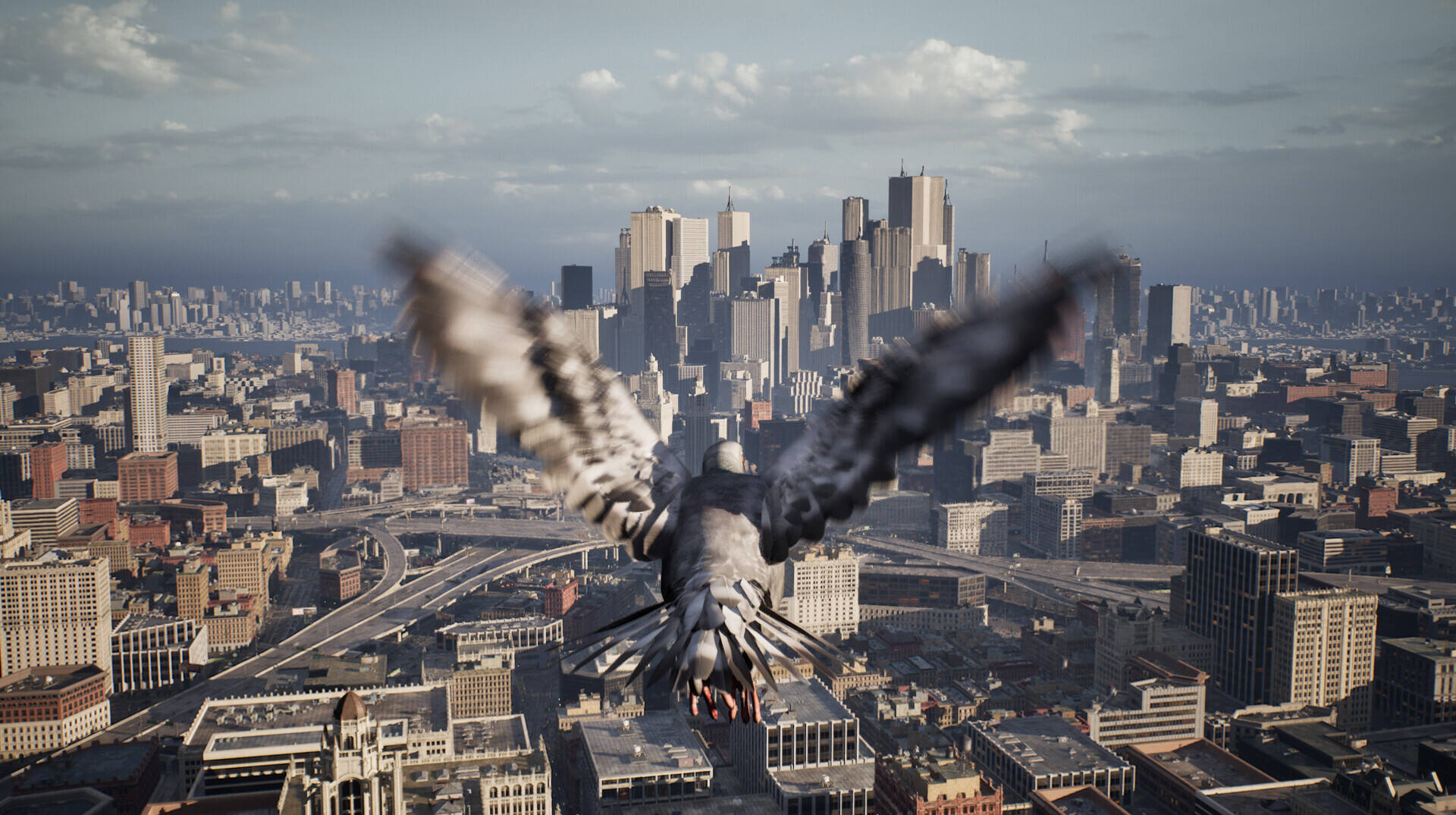 鸽子飞行模拟器截图