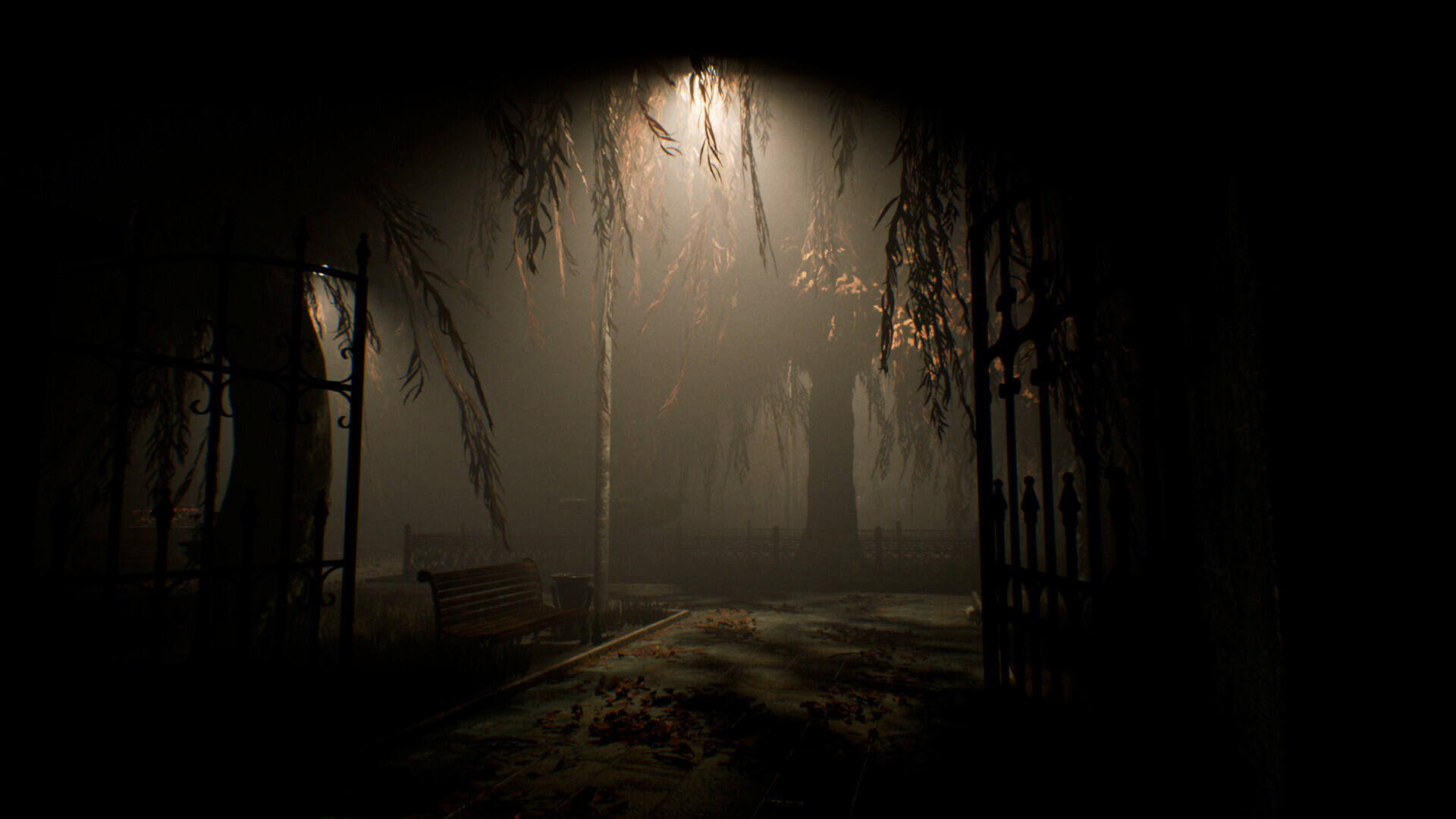 社区新面孔壁纸