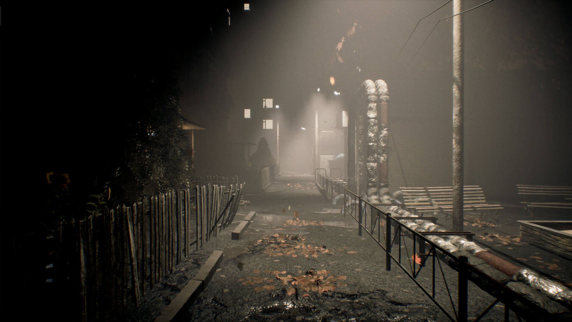 社区新面孔壁纸