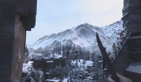 《生化危机8：村庄》隐藏界面与特效MOD