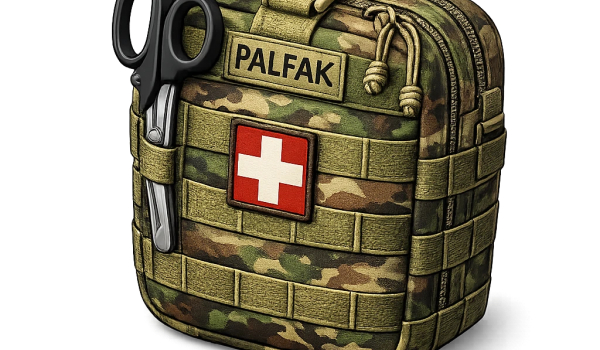 《幻兽帕鲁》现代治疗仪MOD