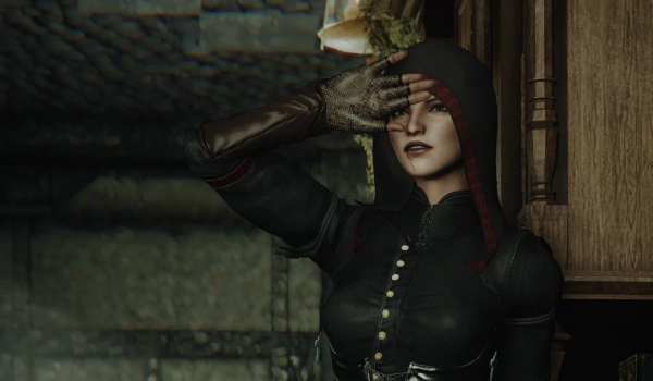 《上古卷轴5：天际重制版》宫廷吟游诗人护甲MOD