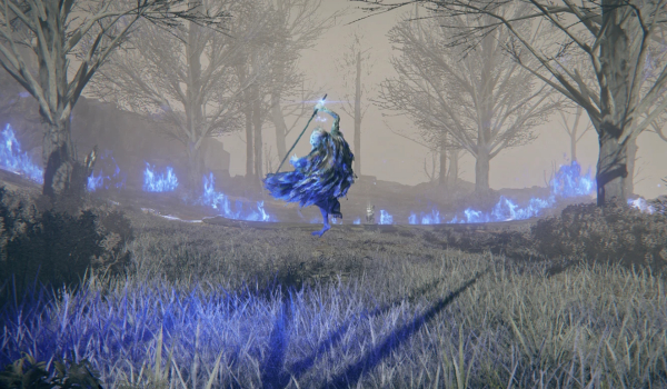 《艾尔登法环 黑夜君临》更多野外首领变种MOD