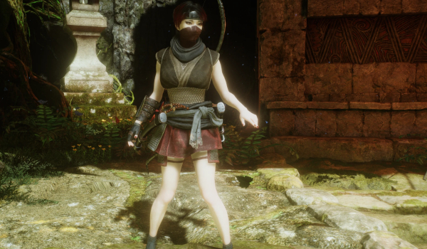 《仁王3》备用忍者长袍MOD