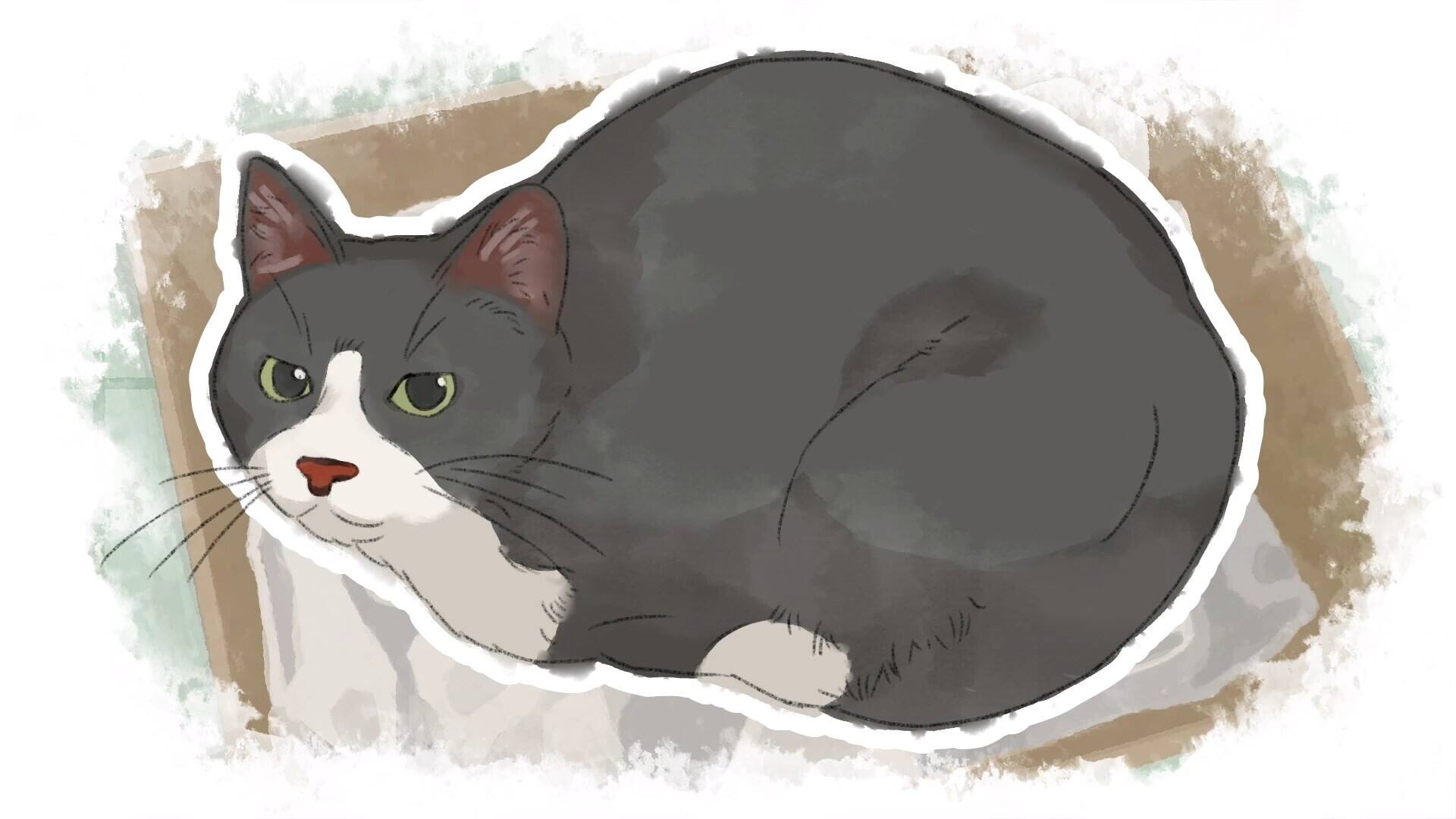 致親愛的我壁紙