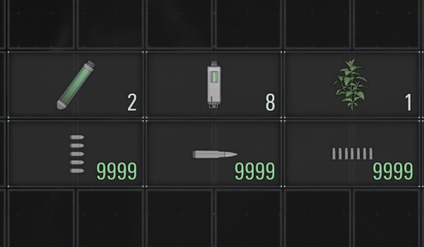 《生化危机 安魂曲》最大堆叠数量倍数MOD