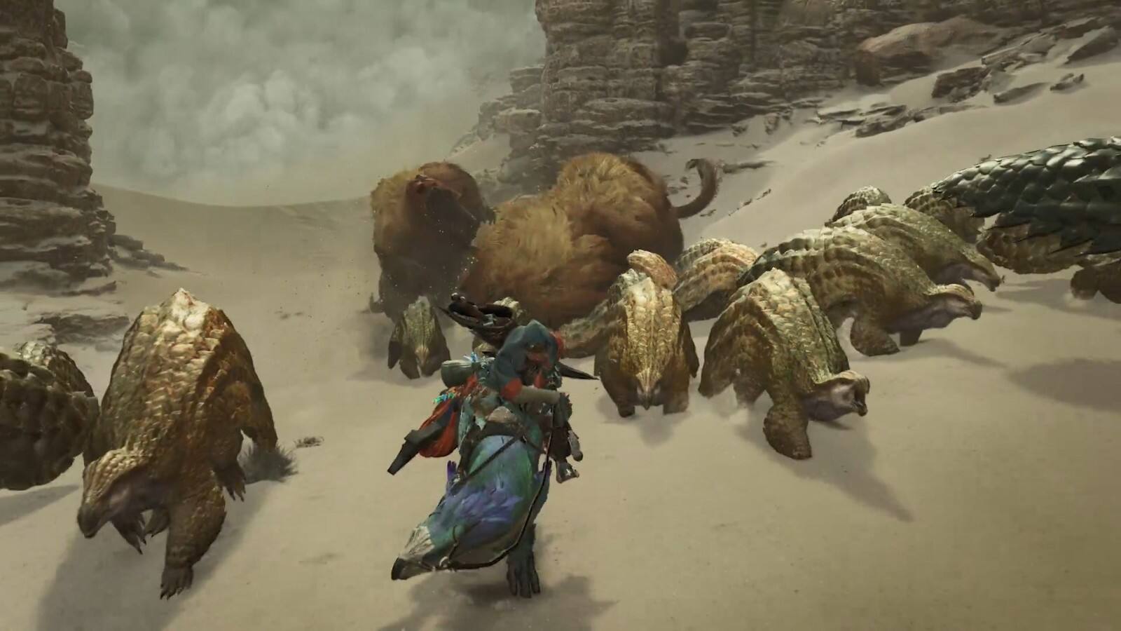 怪物猎人：荒野截图