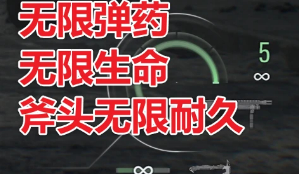 《生化危机 安魂曲》无限功能修改MOD