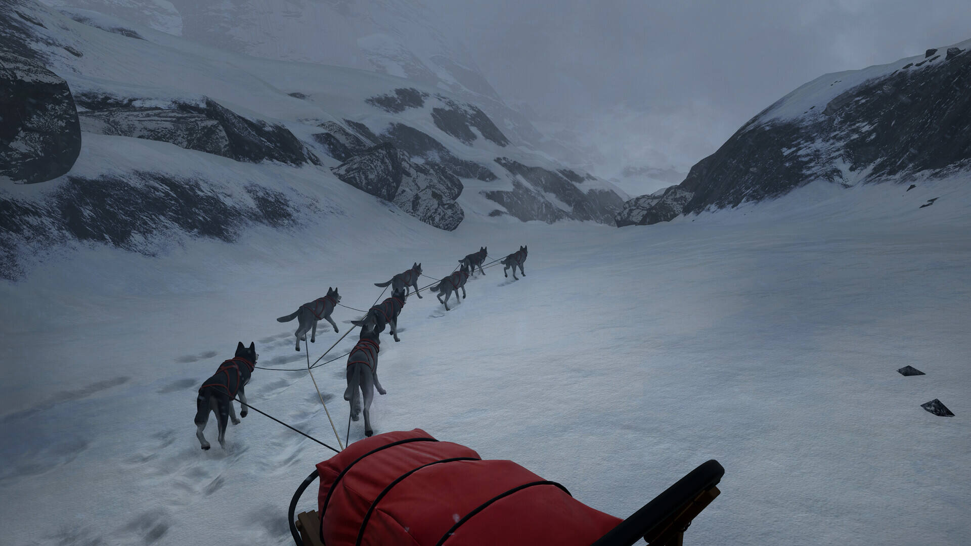 意志：追随光明截图