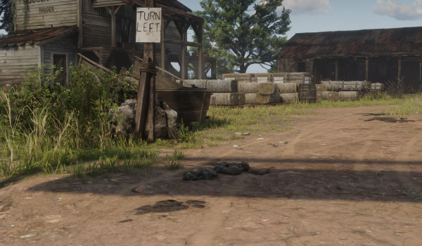 《荒野大镖客2》清理街道罗兹镇MOD