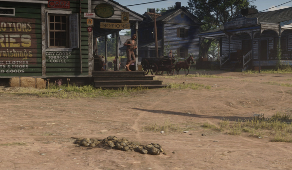 《荒野大镖客2》清理街道罗兹镇MOD