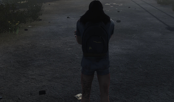 《HumanitZ》更佳鏡頭控制MOD