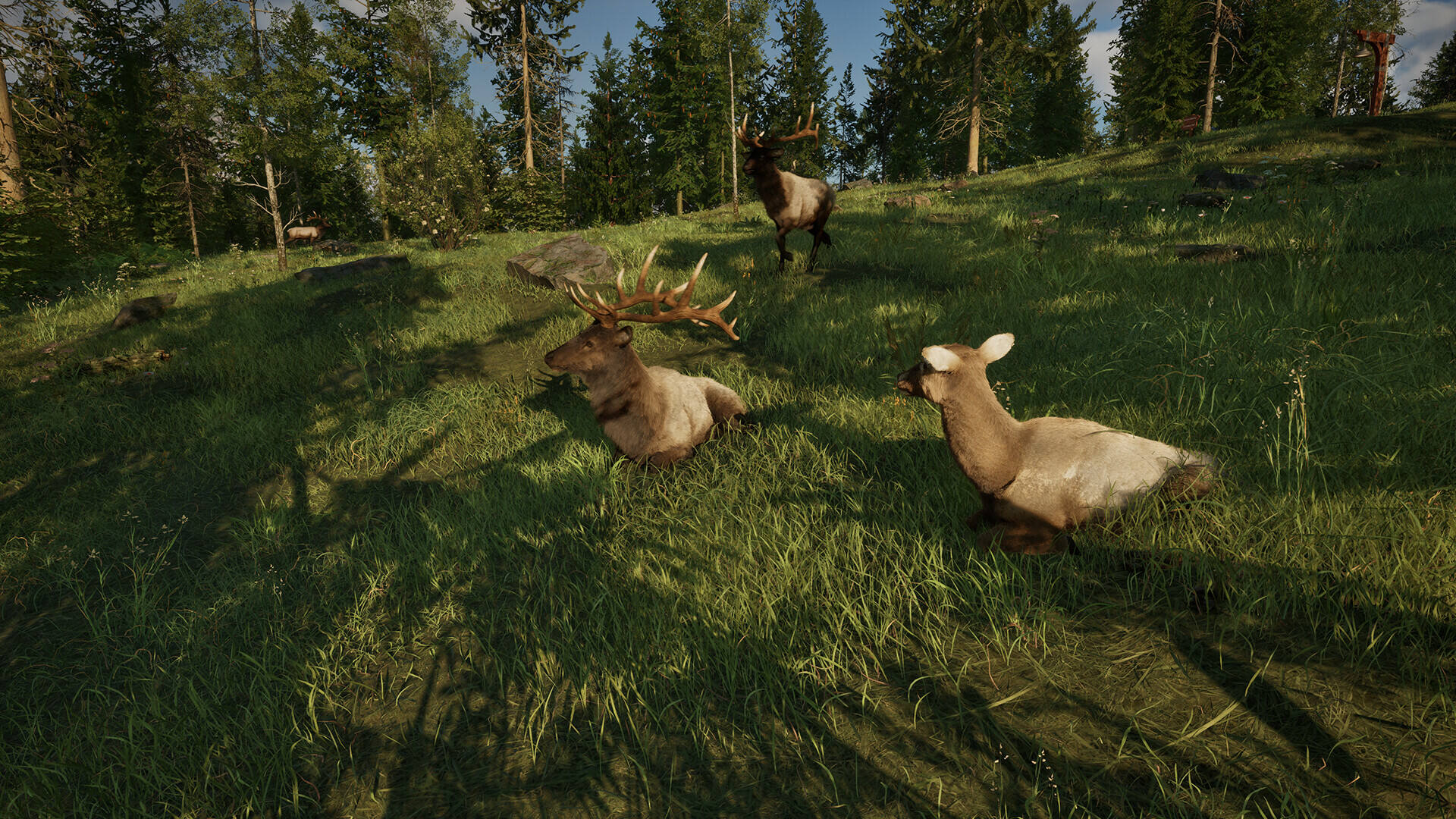 护林员之路：国家公园模拟器截图