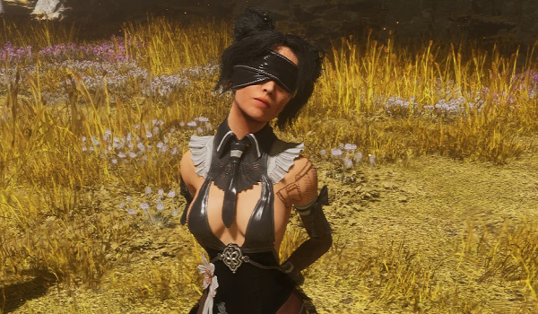 《光與影：33號(hào)遠(yuǎn)征隊(duì)》呂涅希爾劍星寄葉非官方禮服MOD