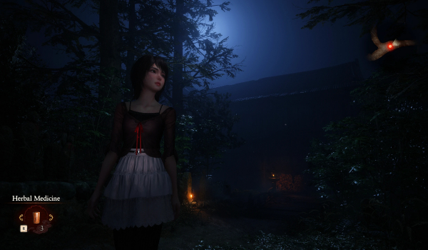 《零红蝶：重制版》鲜艳ReShade MOD