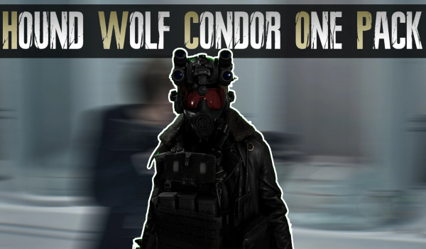 《生化危机 安魂曲》猎狼小队秃鹰作战包MOD