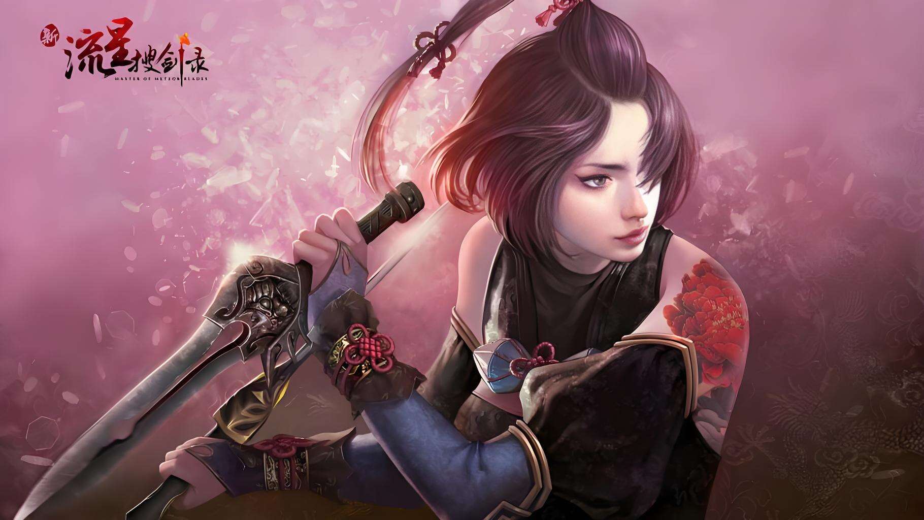 新流星搜剑录单机版