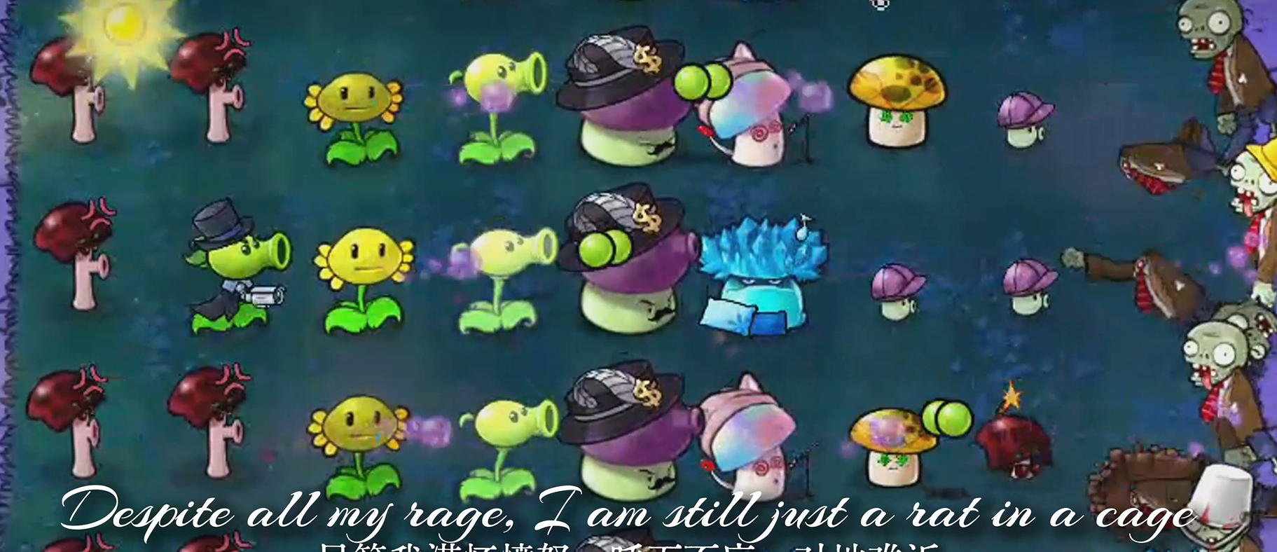 植物大战僵尸启命版截图