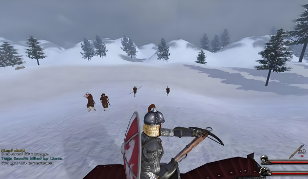 骑马与砍杀:光明与黑暗