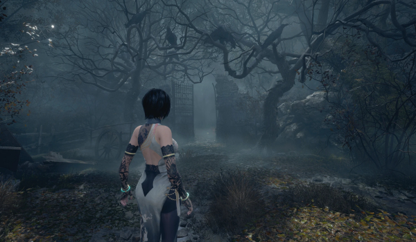 《生化危机4：重制版》纯净电影预设MOD