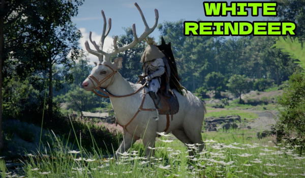 《红色沙漠》真传奇坐骑包MOD