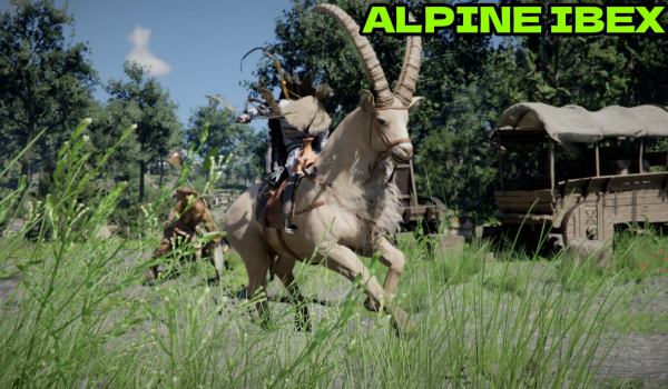 《红色沙漠》真传奇坐骑包MOD