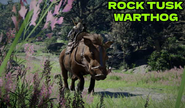 《红色沙漠》真传奇坐骑包MOD