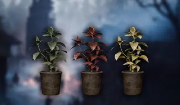 《生化危机4：重制版》复古经典草药MOD