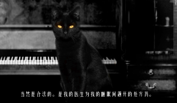 《The Cat Lady》简体中文汉化补丁