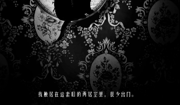 《The Cat Lady》简体中文汉化补丁
