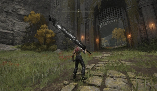 《艾尔登法环》永久增益MOD